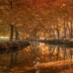 Où se trouve le relais de la pompe à essence sur la peugeot 206